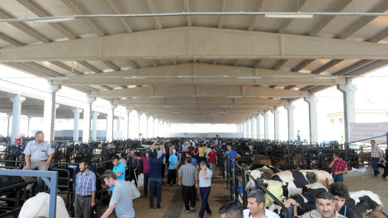 Kurbanlık Hayvan Satış Fiyatları Belirlendi
