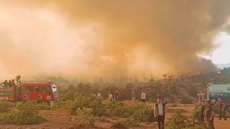 Orman yangınlarında 168 şüpheliden 39'u tutuklandı