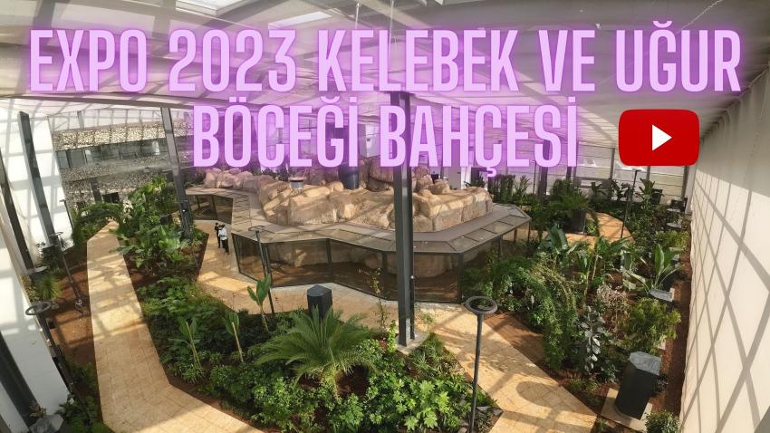 Kahramanmaraş’ın yeni cazibe merkezi; EXPO 2023 Kelebek ve Uğur Böceği Bahçesi