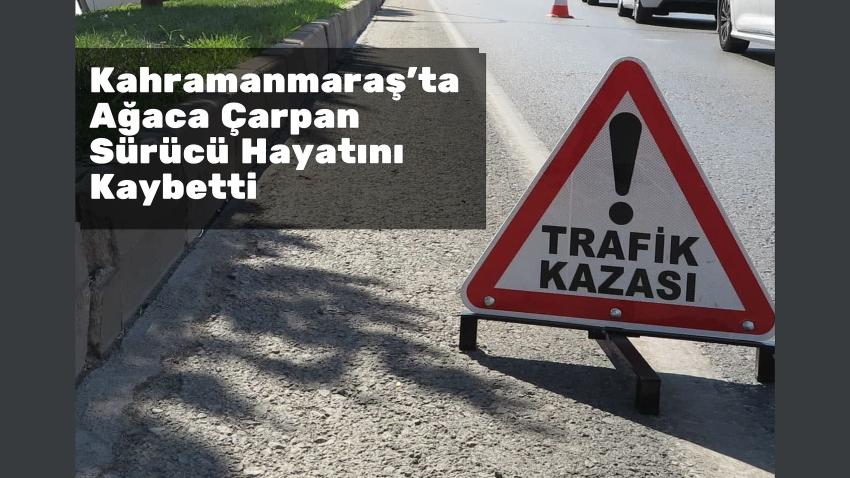 Kahramanmaraş'ta Ağaca Çarpan Sürücü Hayatını Kaybetti