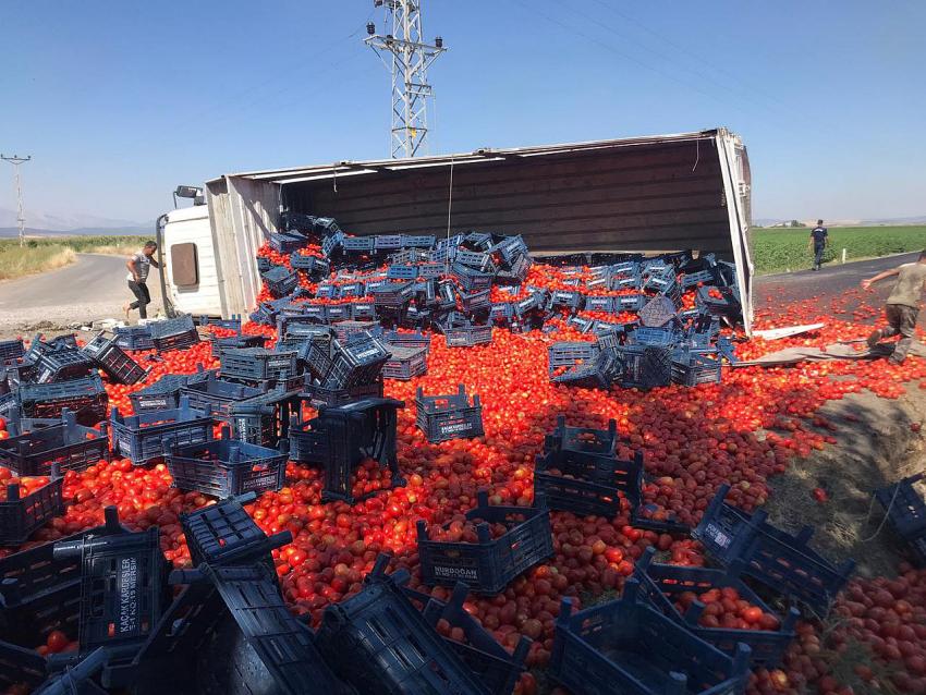 Kahramanmaraş’ta domates yüklü kamyon devrildi: 1 yaralı  