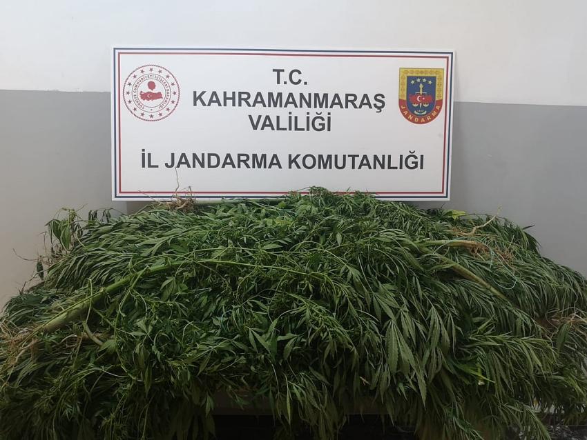 Kahramanmaraş’ta uyuşturucu operasyonu: 2 gözaltı 
