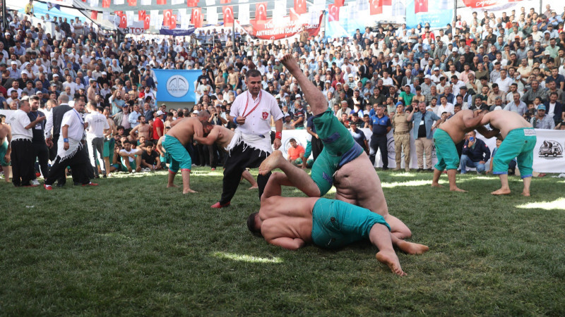 29. Geleneksel Bertiz Boyalı Güreşleri Coşkuyla Tamamlandı