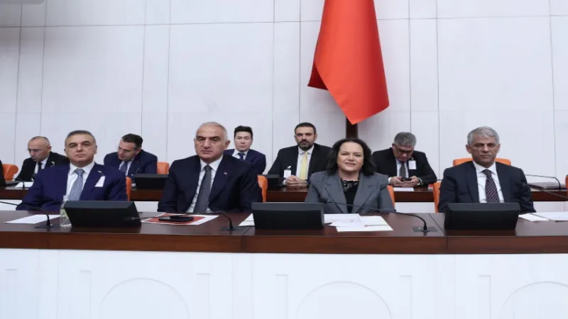 TBMM'de merkezi yönetim bütçesi görüşmeleri sürüyor